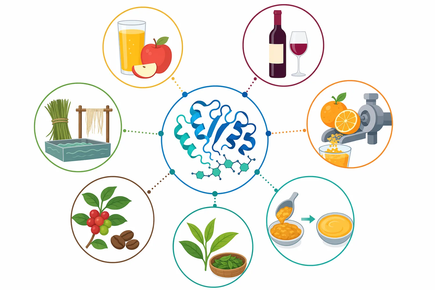 Pectin lyase is used across fruit juice clarification, mash pressability, plant extraction, fiber treatment, and pectic residue handling.