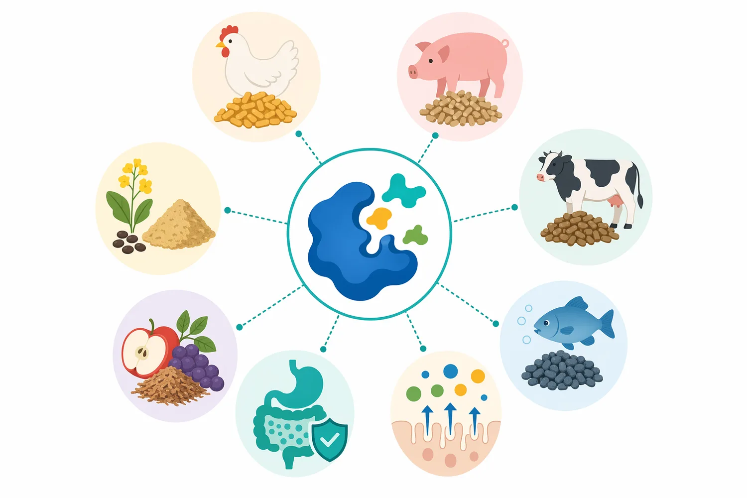 Pectinase is most relevant for plant-derived feed materials such as pulps, peels, pomace, botanical residues, and mixed pectin-bearing co-products.