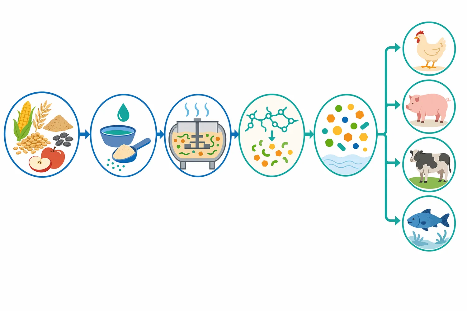 Pectinase treatment can progress from polymer-size reduction to cell separation, altered water interaction, and improved enzyme accessibility.