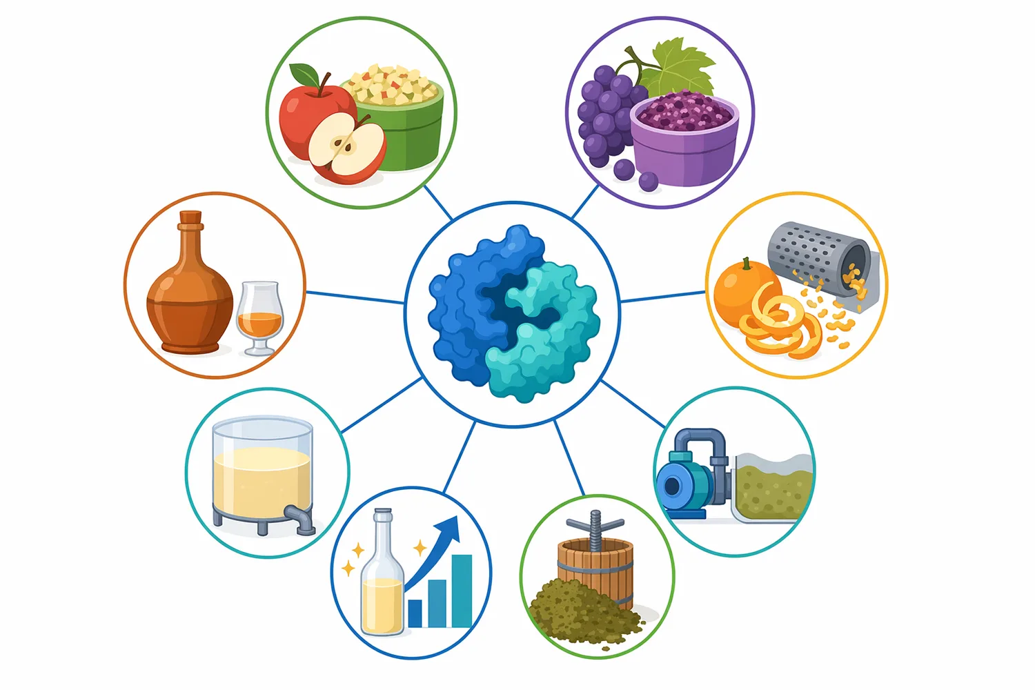 Fruit-processing studies support pectinase use across apple, grape, papaya, guava, passion fruit, dragon fruit, citrus, and cashew fruit juice systems.