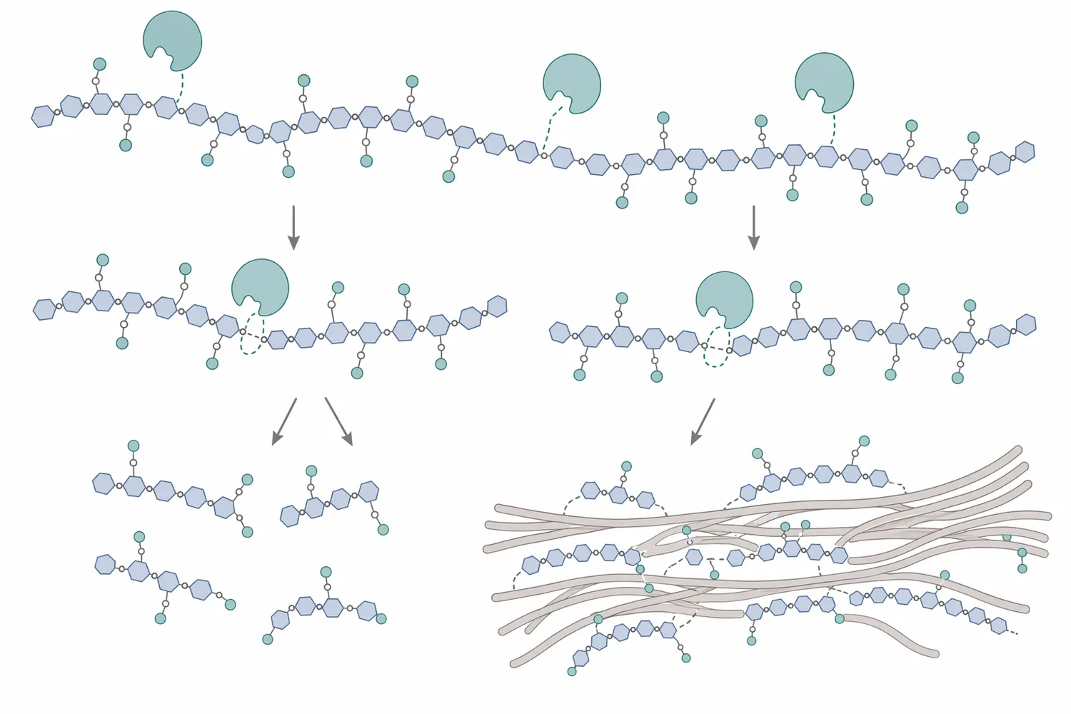 Pectinase shortens or modifies the hydrated pectin network that holds water, fine solids, and plant cell-wall material together.