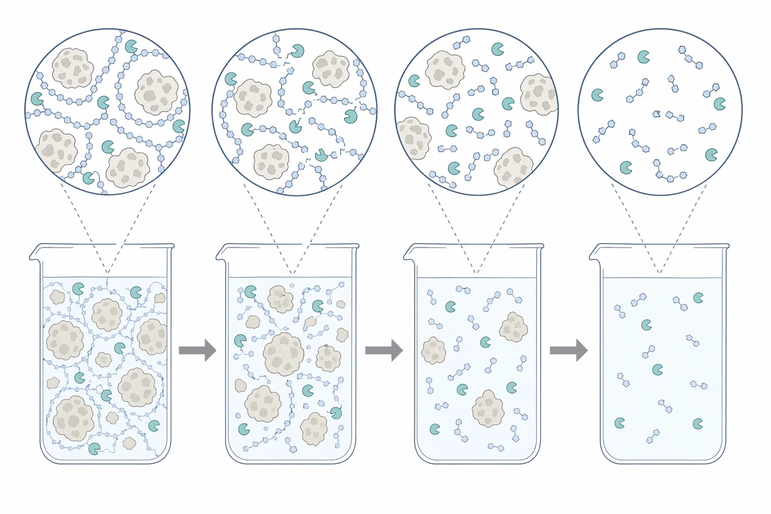 Pectinase cleaves or modifies pectin chains so the hydrated network that stabilizes fine particles loses strength.