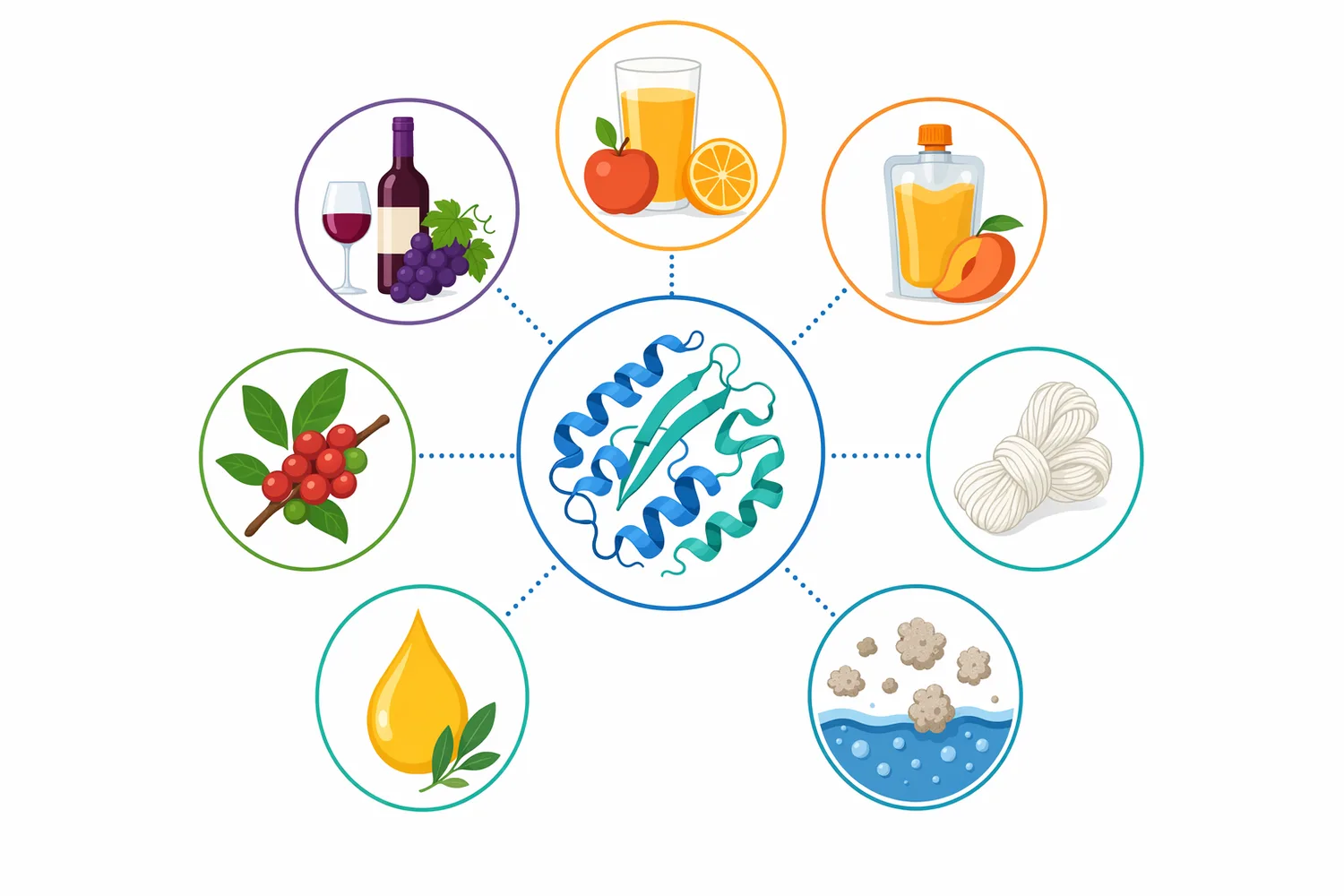 Pectinase is used across fruit, vegetable, botanical, citrus by-product, fiber, and oil-separation processes where pectin limits flow, release, or separation.