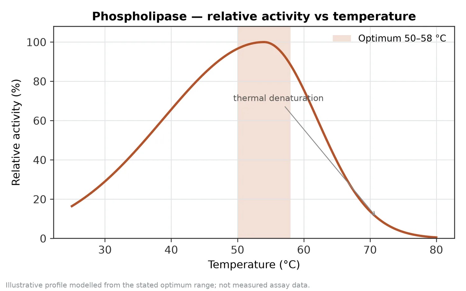 Relative activity of Phospholipase as a function of temperature, with the optimum at 50–58 °C and a characteristic thermal-denaturation fall-off above the optimum.