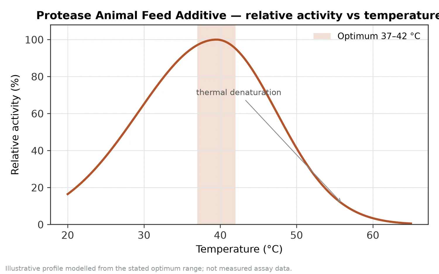 Relative activity of Protease Animal Feed Additive as a function of temperature, with the optimum at 37–42 °C and a characteristic thermal-denaturation fall-off above the optimum.