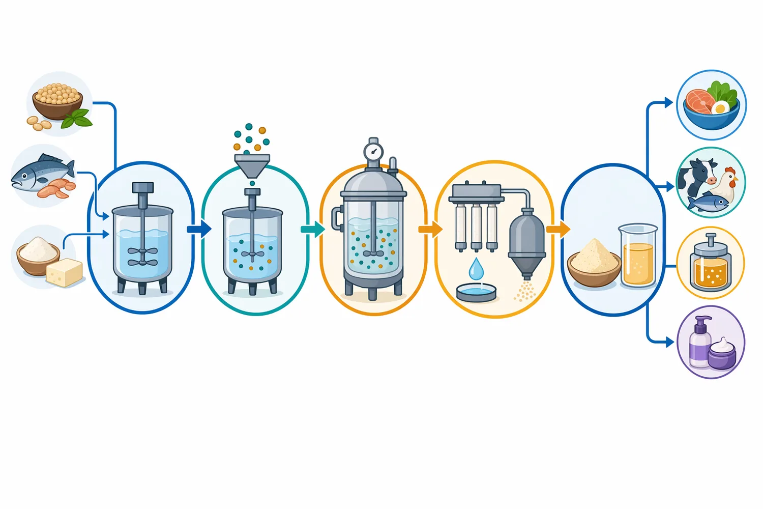 Industrial neutral protease workflows convert protein-rich raw materials into peptide hydrolysates for food, feed, fermentation and cosmetic uses.