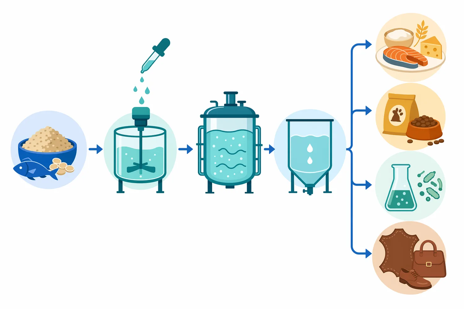 As hydrolysis proceeds, intact proteins shift toward medium peptides, smaller peptides, and some free amino acids.