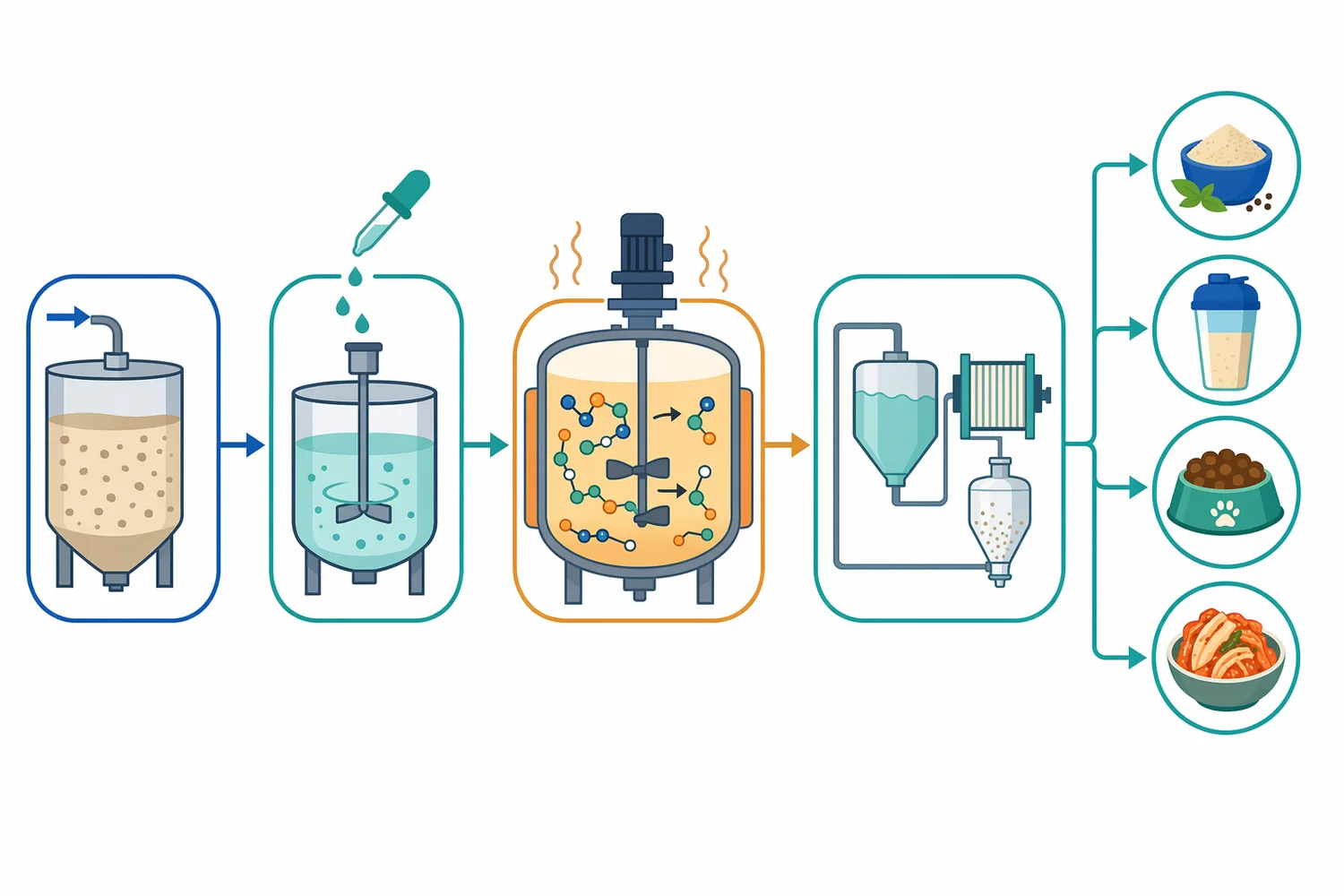 A typical hydrolysis workflow uses an endoprotease to create peptide fragments followed by aminopeptidase trimming to increase smaller peptides and free amino acids.