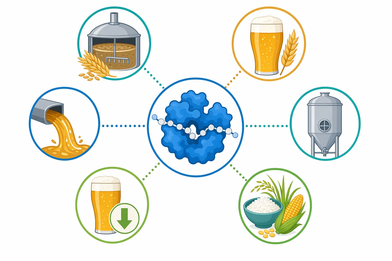 Pullulanase is most relevant for dry and highly attenuated beers, low-carbohydrate formulations, adjunct brewing, and high-gravity processes where branched dextrins can limit fermentability.