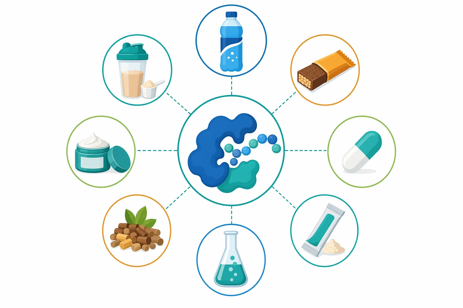 Soy protein hydrolysates are studied for peptide activities including antioxidant, ACE-inhibitory, cholesterol-related, anti-inflammatory, anti-tyrosinase, and wound-healing model effects.