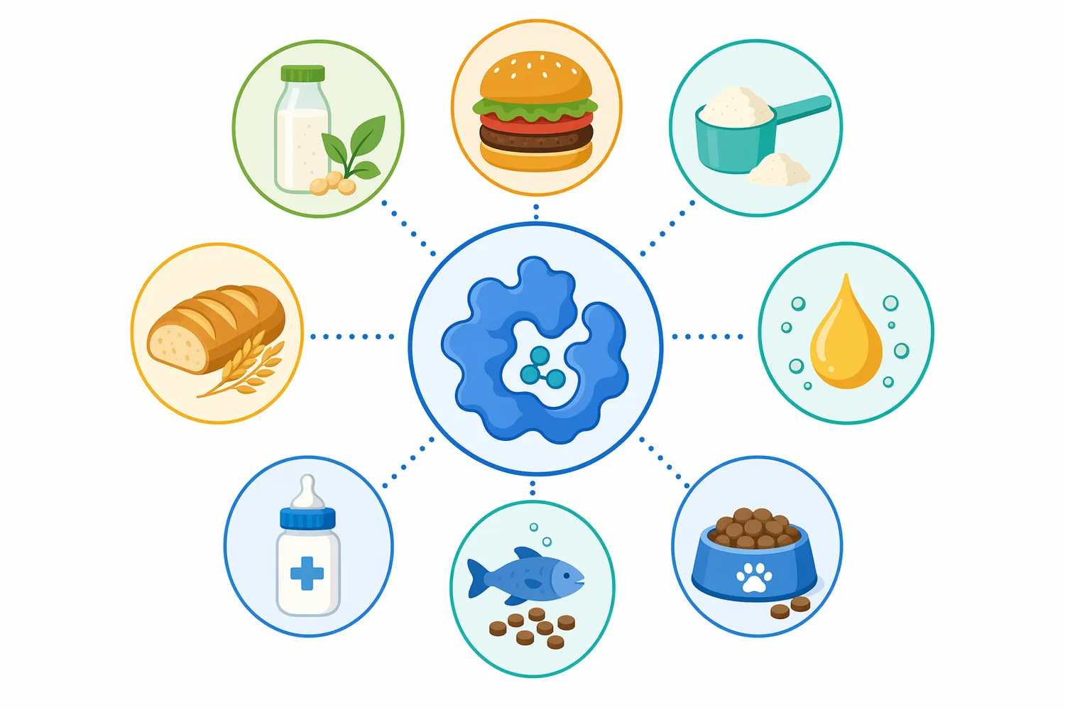 Soy protein modification is relevant across beverages, instant powders, meat analogues, sauces, bakery systems, extruded foods, and specialized allergen-reduction research.