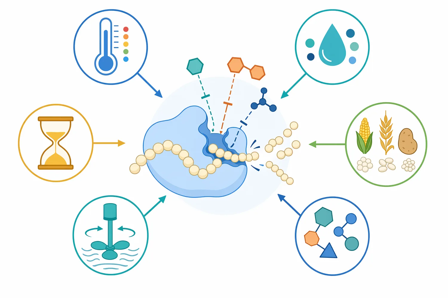 Alpha-amylase performance depends on substrate accessibility, temperature, pH, reaction time, starch source, mixing, and matrix components.