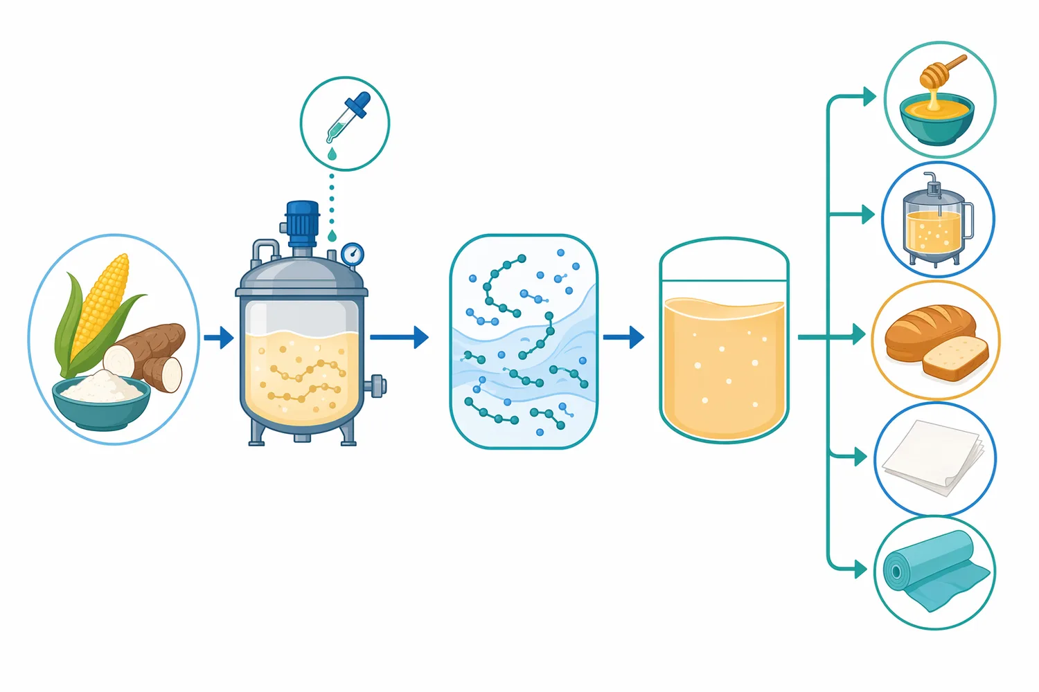 A typical liquefaction sequence disperses starch in water, gelatinizes it with heat, adds bacterial alpha amylase, holds for thinning, and sends the liquefied stream to use or further conversion.