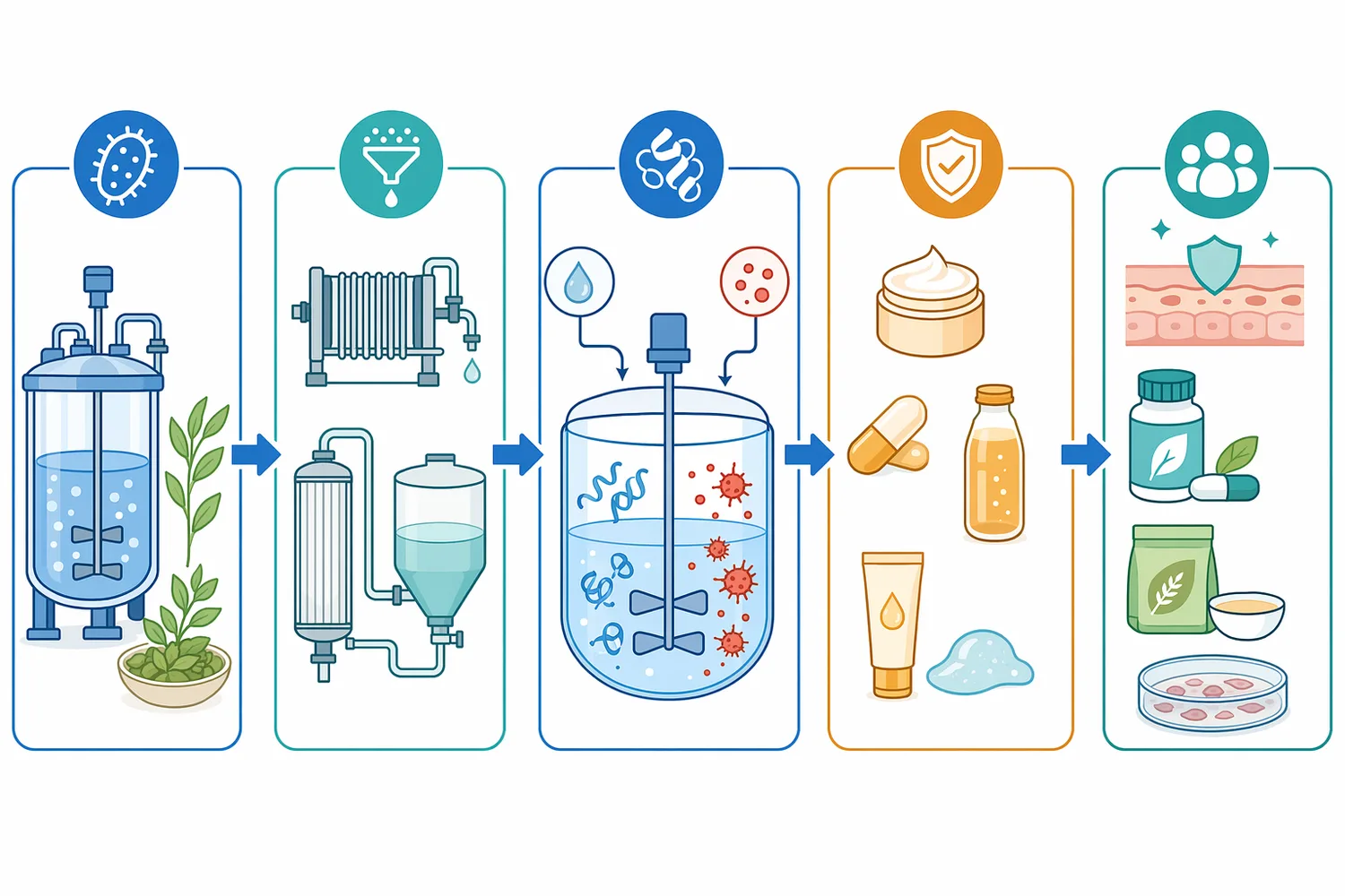 Oral SOD concepts require attention to protein-enzyme stability, matrix compatibility, delivery approach, and appropriately limited antioxidant-support claims.