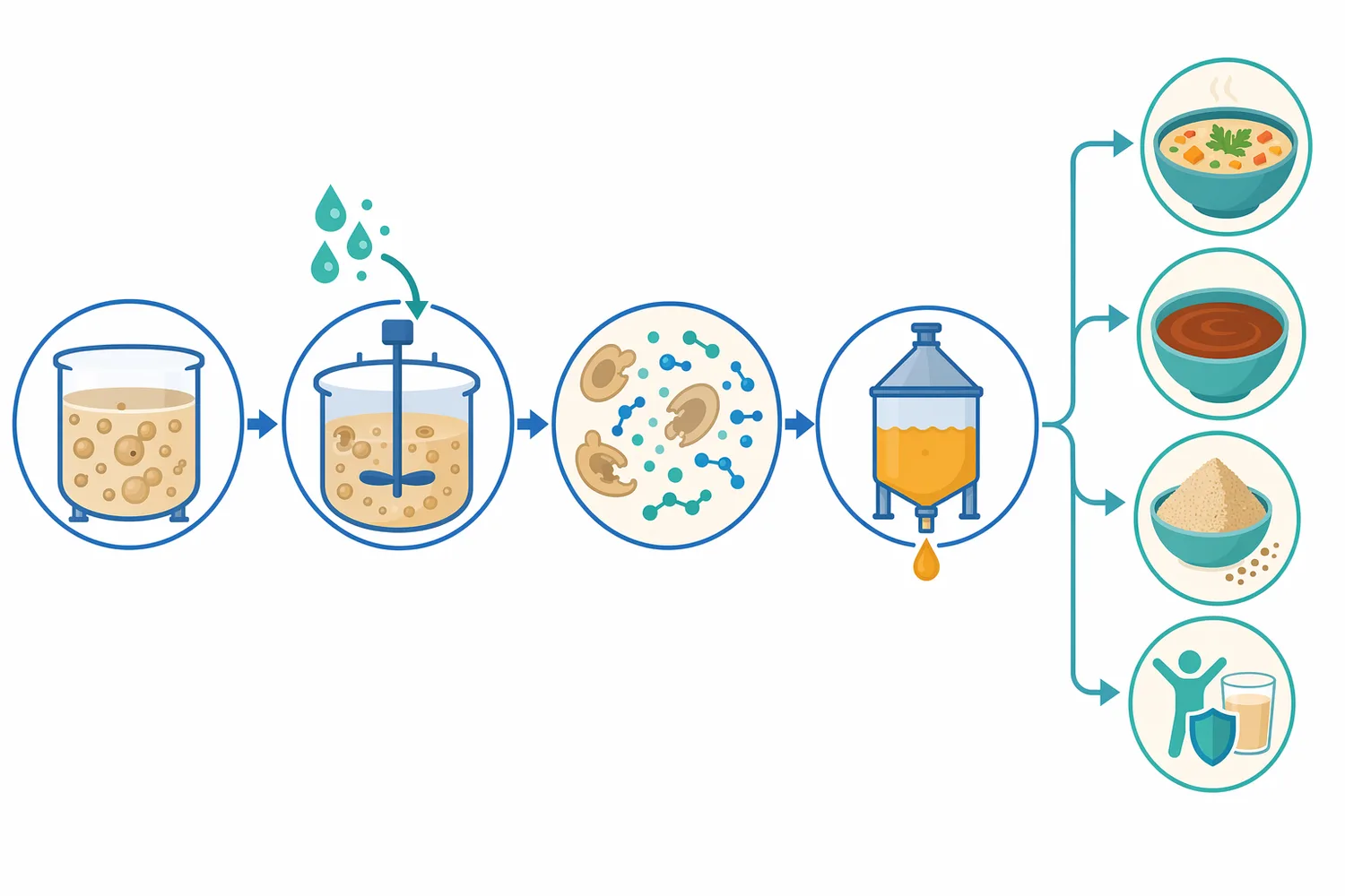 A typical process disperses yeast in water, adds enzyme for controlled hydrolysis, stabilizes the reaction, and then separates, concentrates, dries, or blends the extract.