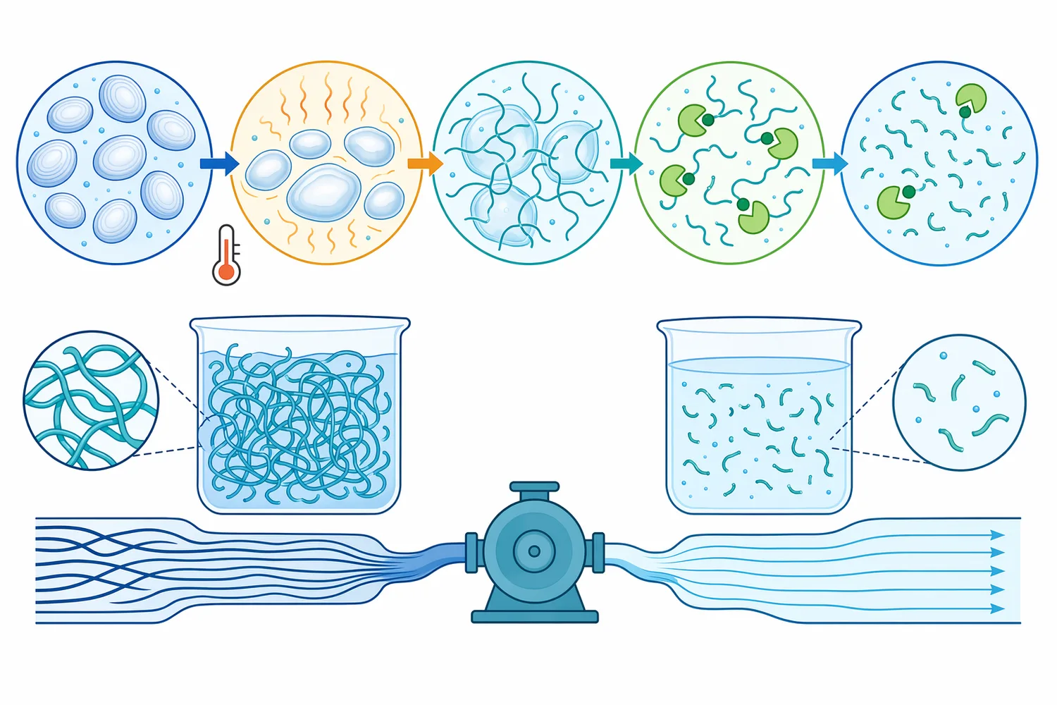 Heating increases starch-chain accessibility, allowing alpha amylase to convert long entangled polymers into shorter soluble fragments.