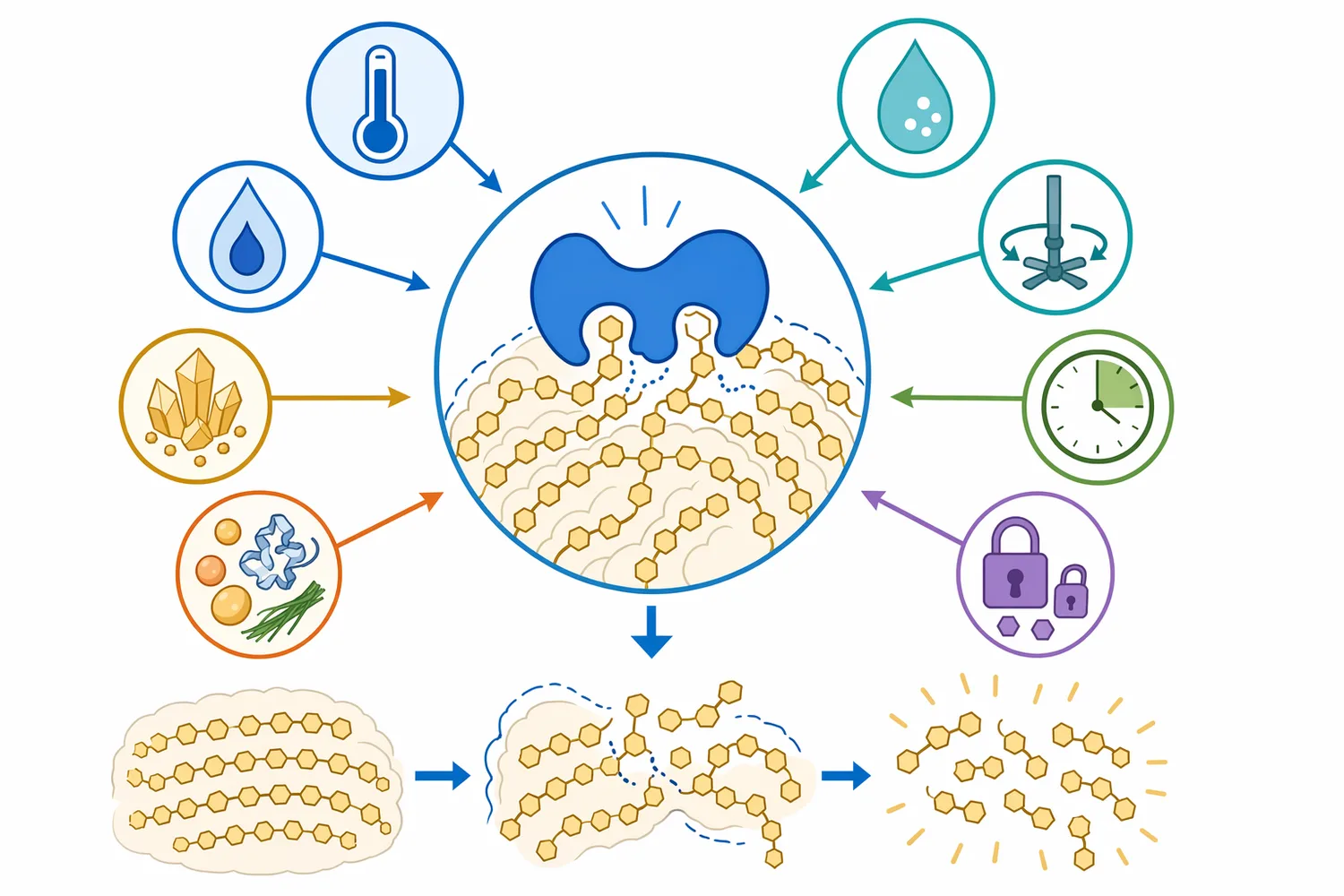Alpha-amylase performance depends on substrate accessibility and matrix conditions such as heat history, pH, mixing, moisture, inhibitors, and non-starch components.