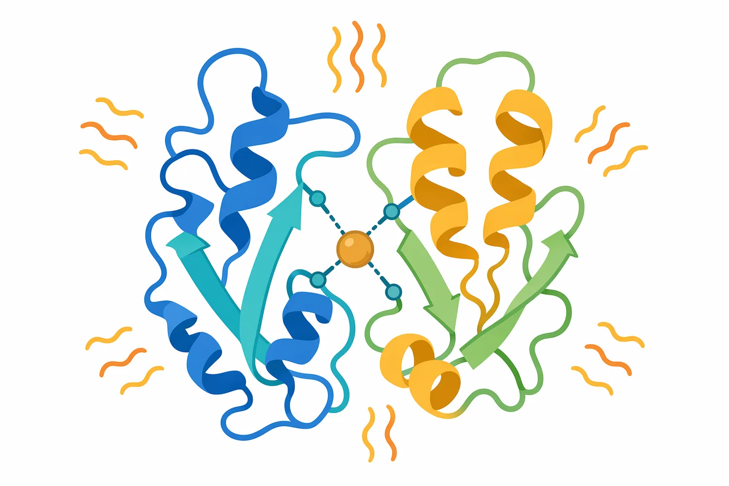 Calcium binding can help stabilize some alpha-amylase structures and support activity under heat stress.