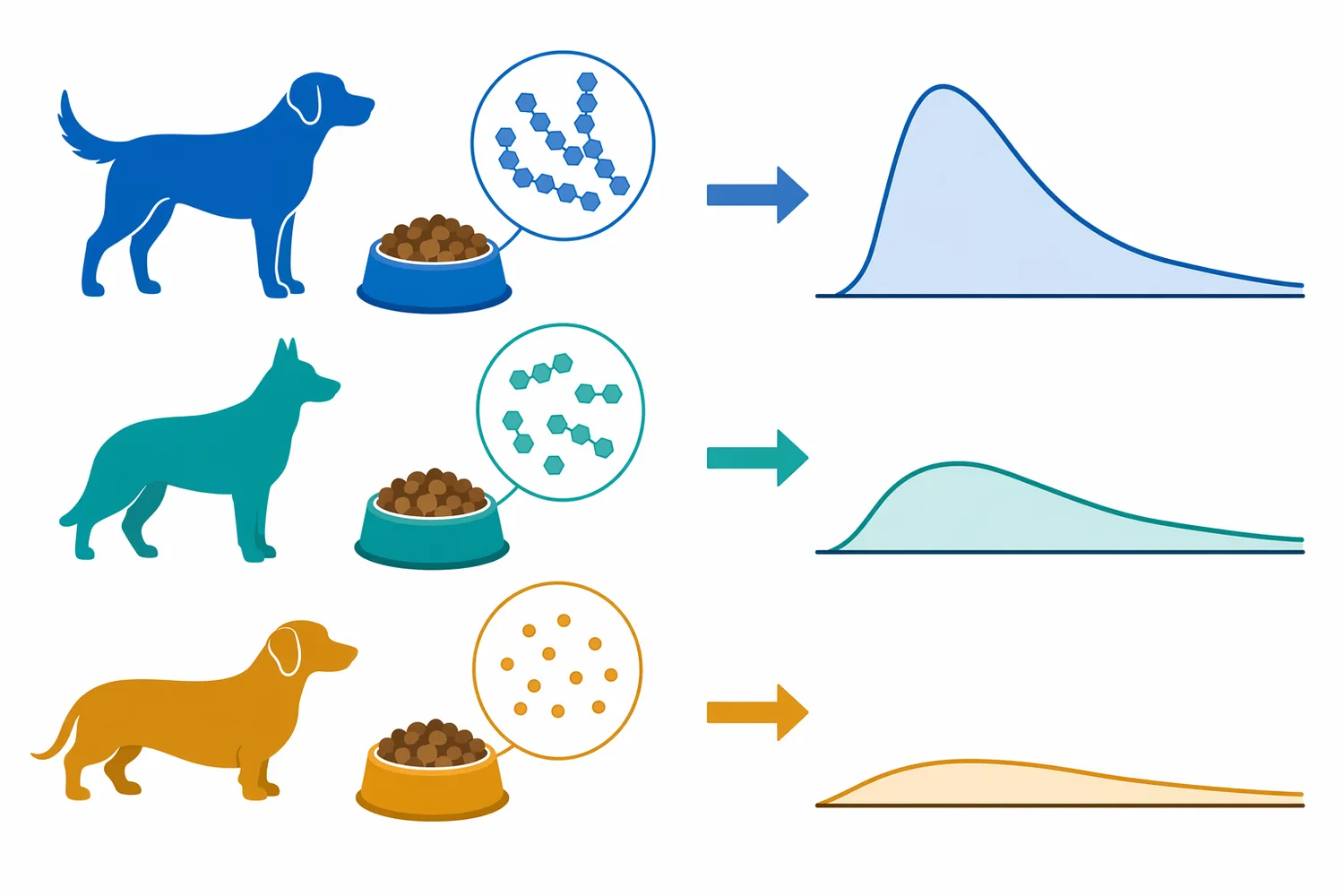 In the cited dog study, transglucosidase with dextrin produced a flatter postprandial glucose pattern than the control condition and outperformed maltose under the tested conditions.