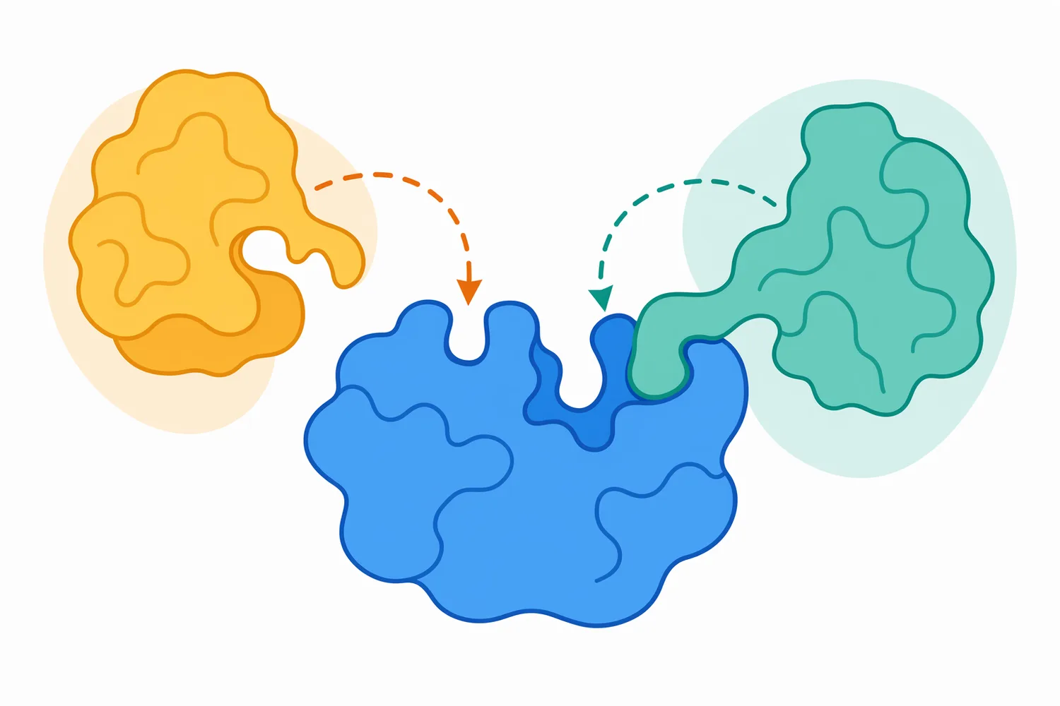 Trypsin inhibitor proteins reduce hydrolysis by occupying or blocking the enzyme region needed for productive substrate cleavage.