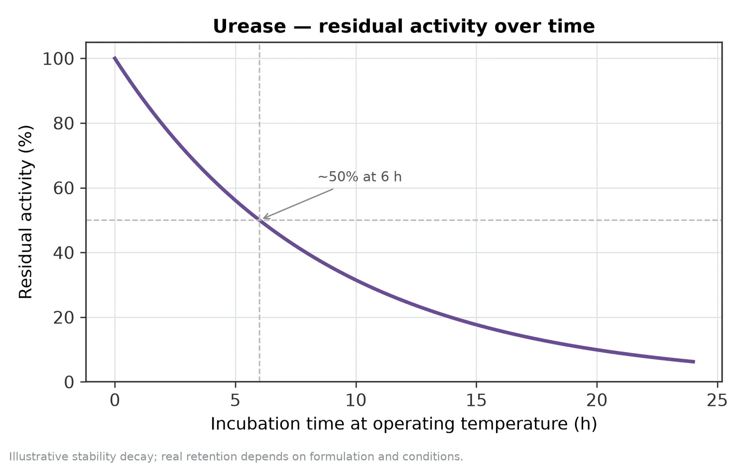 Illustrative thermal-stability decay of Urease — residual activity falling over time at the operating temperature.