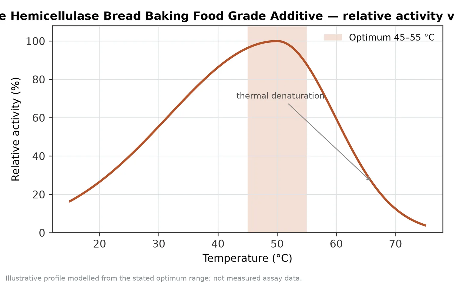Relative activity of Xylanase Hemicellulase Bread Baking Food Grade Additive as a function of temperature, with the optimum at 45–55 °C and a characteristic thermal-denaturation fall-off above the optimum.