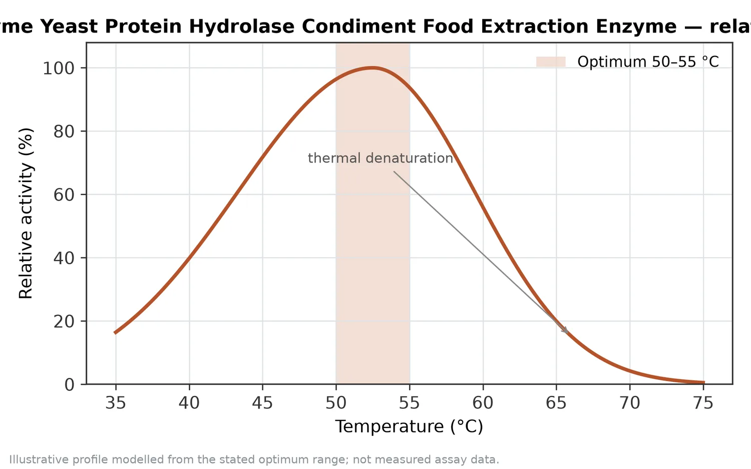 Relative activity of Yeast Extraction Enzyme Yeast Protein Hydrolase Condiment Food Extraction Enzyme as a function of temperature, with the optimum at 50–55 °C and a characteristic thermal-denaturation fall-off above the optimum.