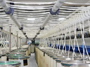 Textile Processing Enzymes