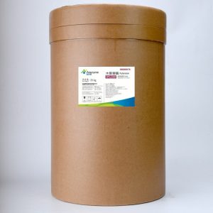 Xylanase