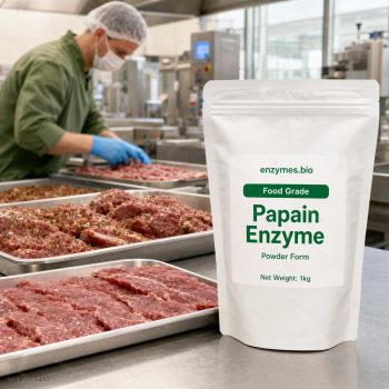 Papain Enzyme Food Grade Powder — industrial enzyme by enzymes.bio