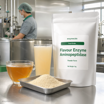 Flavour Enzyme Aminopeptidase Food Grade Powder — industrial enzyme by enzymes.bio