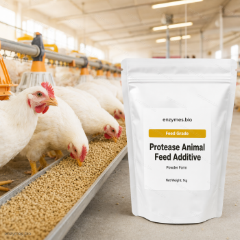 Protease Animal Feed Additive Feed Grade Powder — industrial enzyme by enzymes.bio