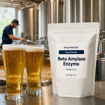 Beta Amylase Enzyme Food Grade Powder — industrial enzyme by enzymes.bio