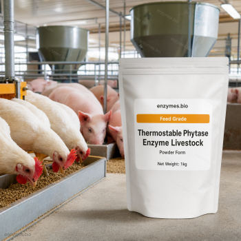 Thermostable Phytase Enzyme Livestock Feed Grade Powder — industrial enzyme by enzymes.bio