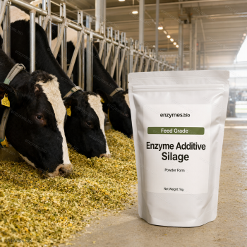 Enzyme Additive Silage Feed Grade Powder — industrial enzyme by enzymes.bio