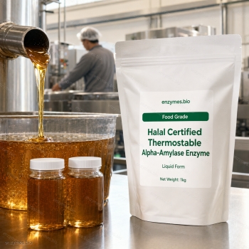 Halal Certified Thermostable Alpha-Amylase Enzyme Food Grade Liquid — industrial enzyme by enzymes.bio