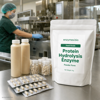 Protein Hydrolysis Enzyme Food Grade Powder — industrial enzyme by enzymes.bio