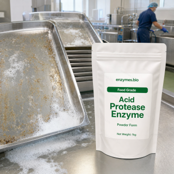 Acid Protease Enzyme Food Grade Powder — industrial enzyme by enzymes.bio