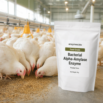 Bacterial Alpha-Amylase Enzyme Feed Grade Powder — industrial enzyme by enzymes.bio