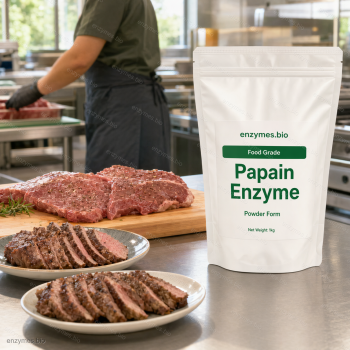 Papain Enzyme Food Grade Powder — industrial enzyme by enzymes.bio