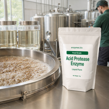 Acid Protease Enzyme Food Grade Liquid — industrial enzyme by enzymes.bio