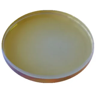 Brewing Enzymes 20 Proteazni encim - živilski razred - CAS 232-642-4 - pivovarstvo - dobavitelj prahu v razsutem stanju | Enzymes.Bio