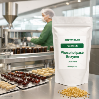 Phospholipase Enzyme Food Grade Liquid — industrial enzyme by enzymes.bio