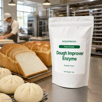 Dough Improver Enzyme Food Grade Powder — industrial enzyme by enzymes.bio