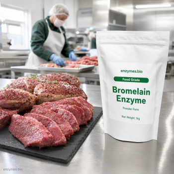 Bromelain Enzyme Food Grade Powder — industrial enzyme by enzymes.bio