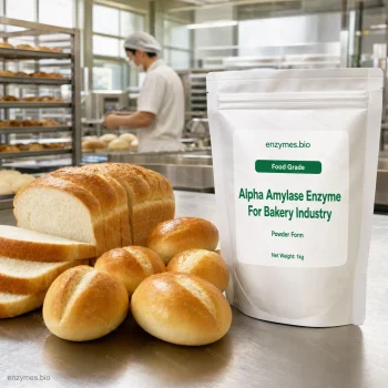 Alpha Amylase Enzyme For Bakery Industry Food Grade Powder — industrial enzyme by enzymes.bio