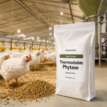 Thermostable Phytase Feed Grade Granule — industrial enzyme by enzymes.bio