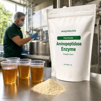 Aminopeptidase Enzyme Food Grade Powder — industrial enzyme by enzymes.bio