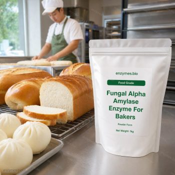 Hemicellulase Enzyme Breaker For Improving The Food Grade Powder — industrial enzyme by enzymes.bio