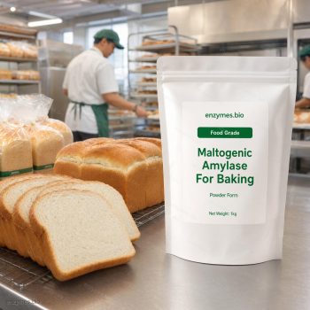 Maltogenic Amylase For Baking Food Grade Powder — industrial enzyme by enzymes.bio